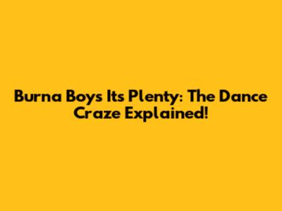 Burna Boy's "It's Plenty": The Dance Craze Explained!